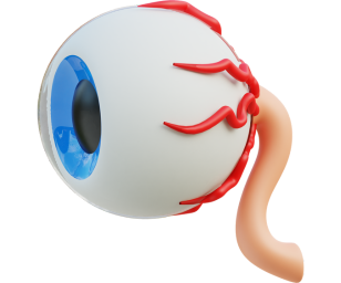 Circulación ocular